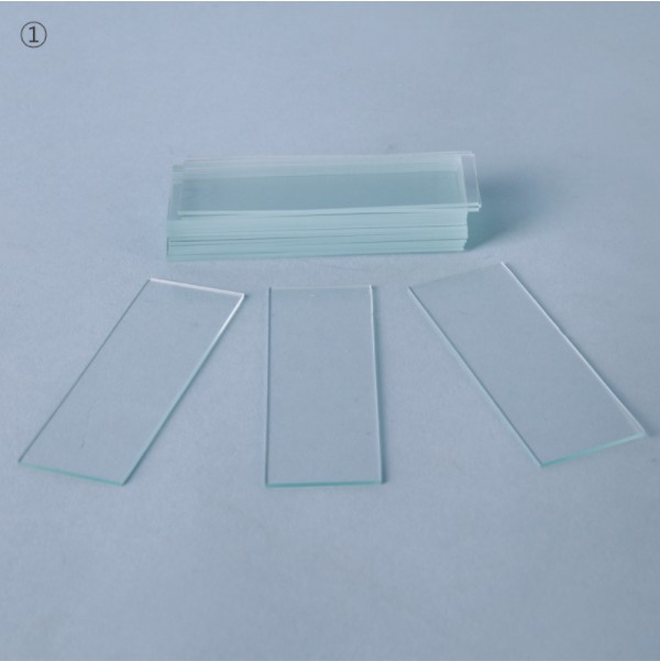 슬라이드 글라스 Slide Glass