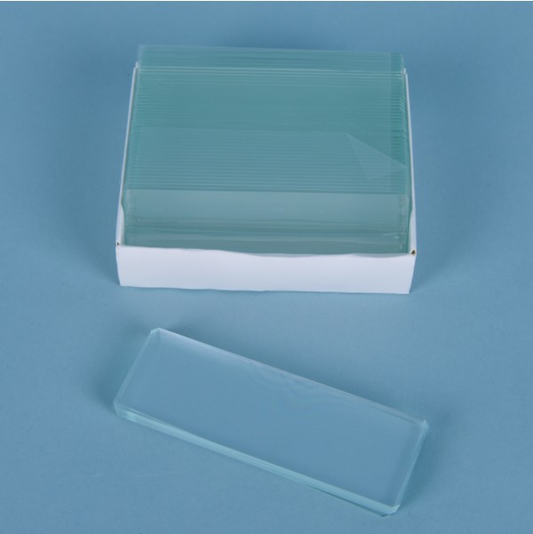 슬라이드 글라스 Slide Glass
