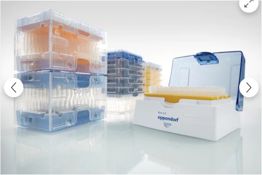 Eppendorf ep Tips standard 피펫팁