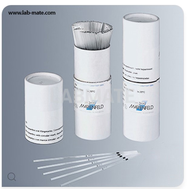마이크로 피펫 Glass Micro pipettes